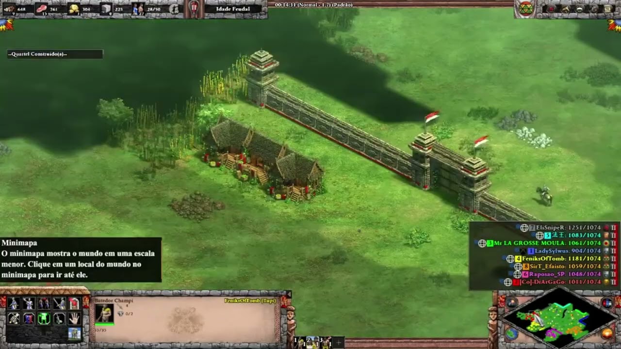AOE2 | 4v4 Arena | Tupi #3