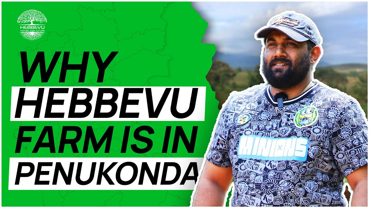 Why Hebbevu Farms is located in Penukonda | Amith Kishan | Managed Farmland | Q&A