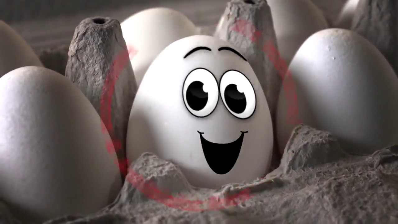 Australian Pasteurised Eggs - Not Your Ordinary Egg