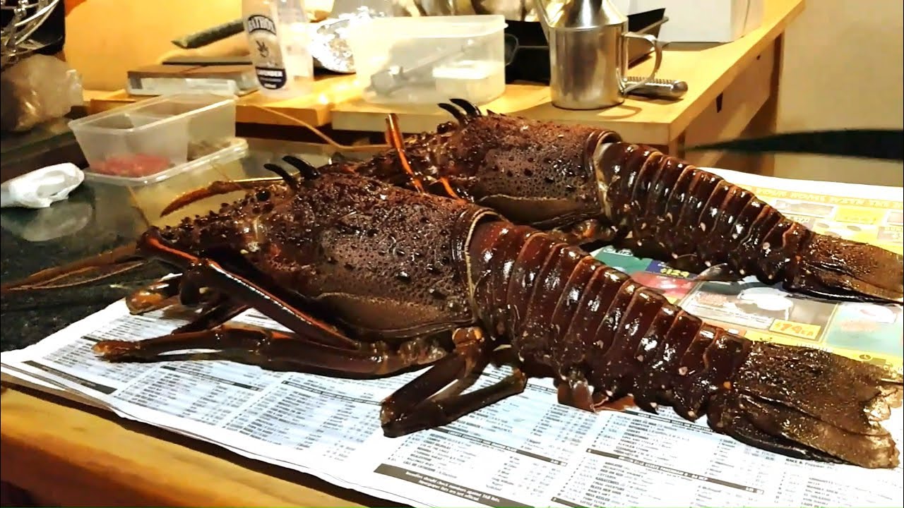 Abalone And Crayfish All You Need To Know Part 3  Southern Western Australia.