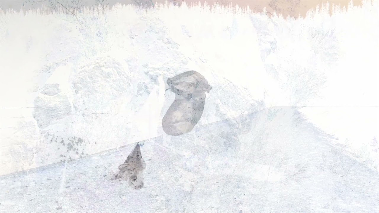 Music and Sound in Dante's Divine Comedy #1