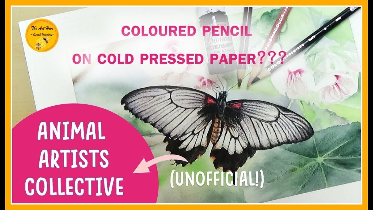🐝2019 Animal Artists Collective (UNOFFICIAL) INSECT | BUTTERFLY painting on cold press paper!