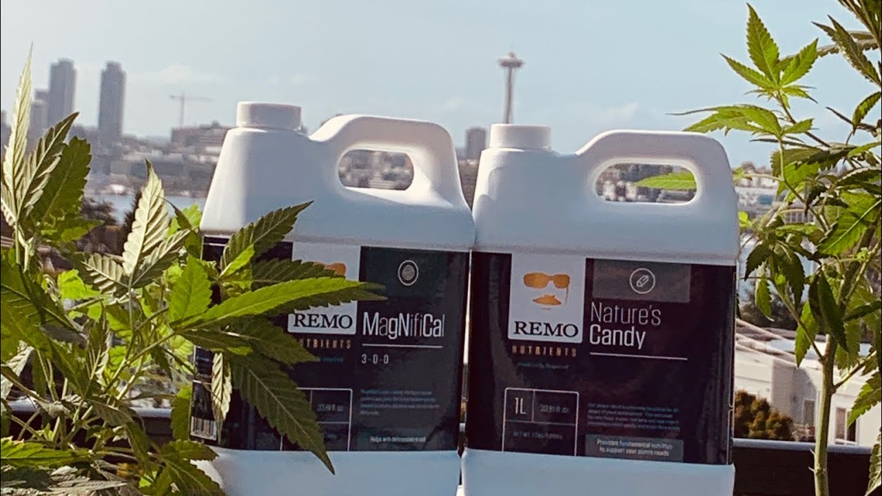 Remo Nutrients