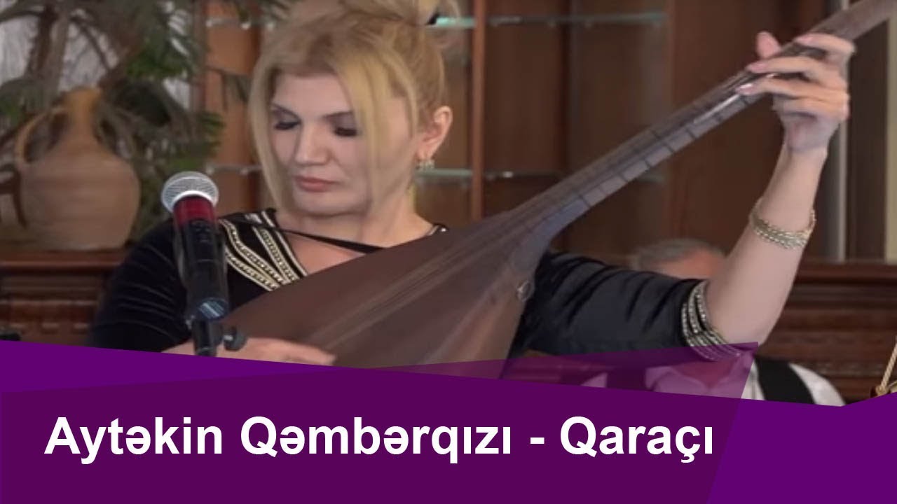 Aytəkin Qəmbərqızının  