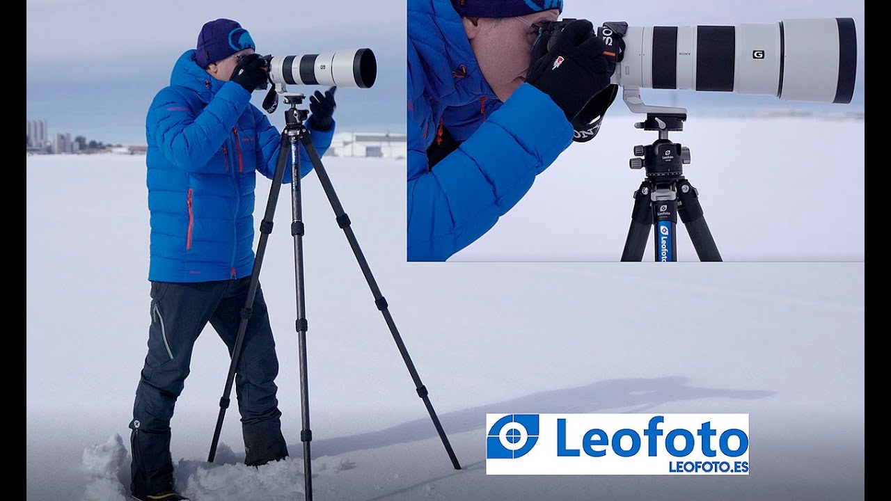 Trípode de carbono Leofoto LS 324C con rótula LH-40PCL