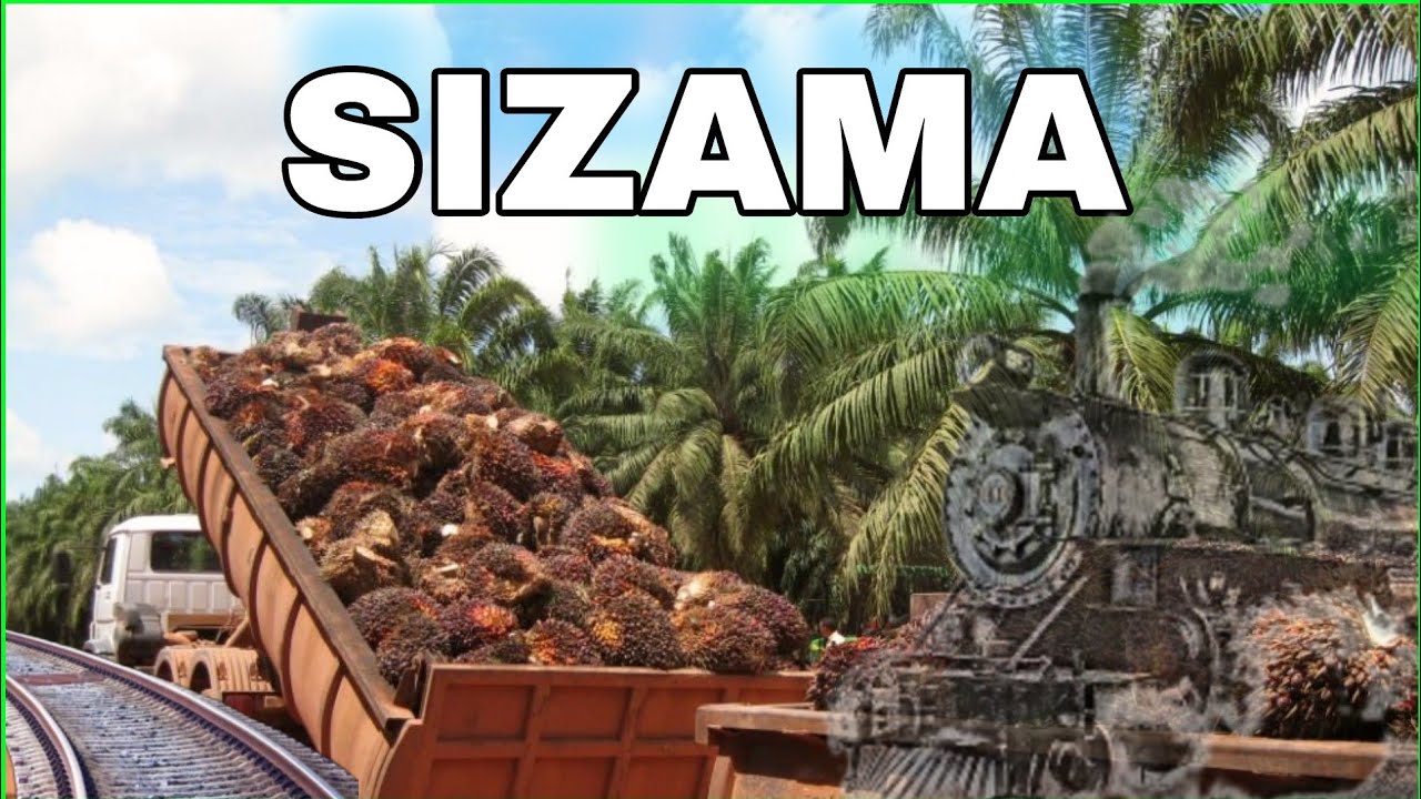 Asi se ve en la actualidad el antiguo Campo Bananero SIZAMA ARIZONA con la misma fertil y productiva