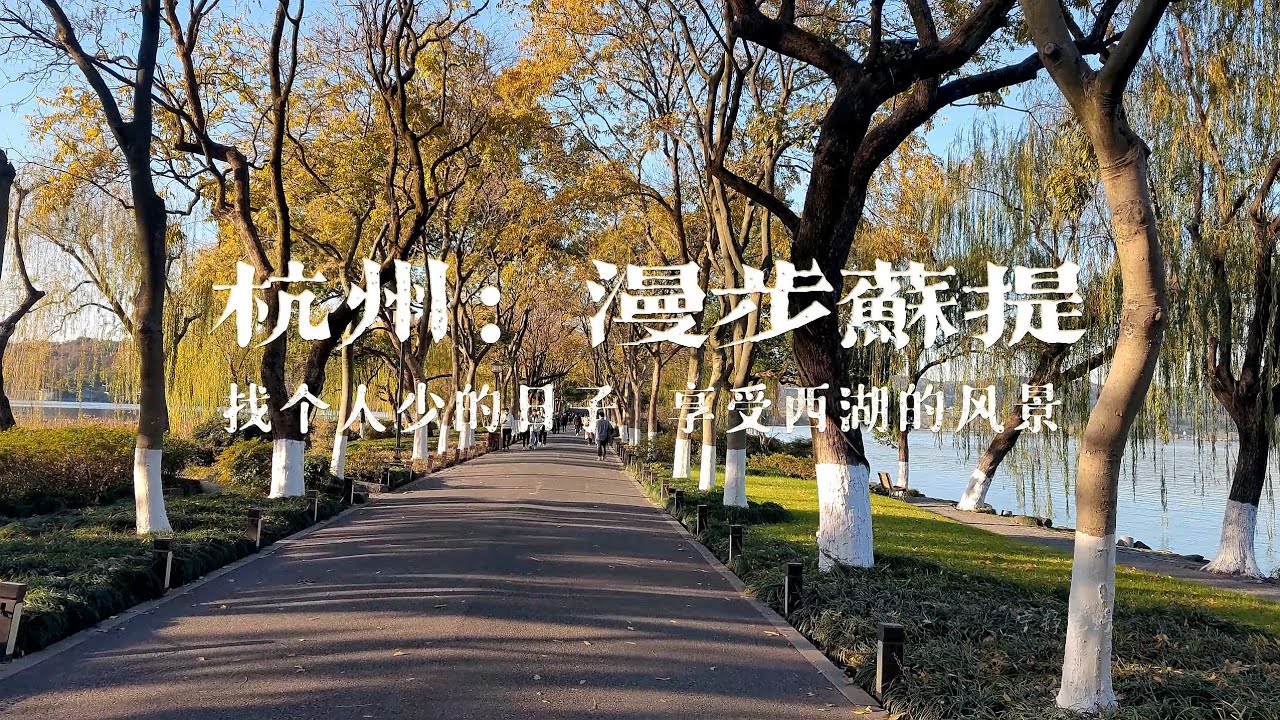 漫步杭州苏堤，苏公堤，一条贯穿杭州西湖南北风景区的林荫大堤，北宋诗人苏轼（苏东坡）任杭州知州时修建，南宋以来，“苏堤春晓”就是“西湖十景”之首。中国杭州旅游，街拍4K风景，china