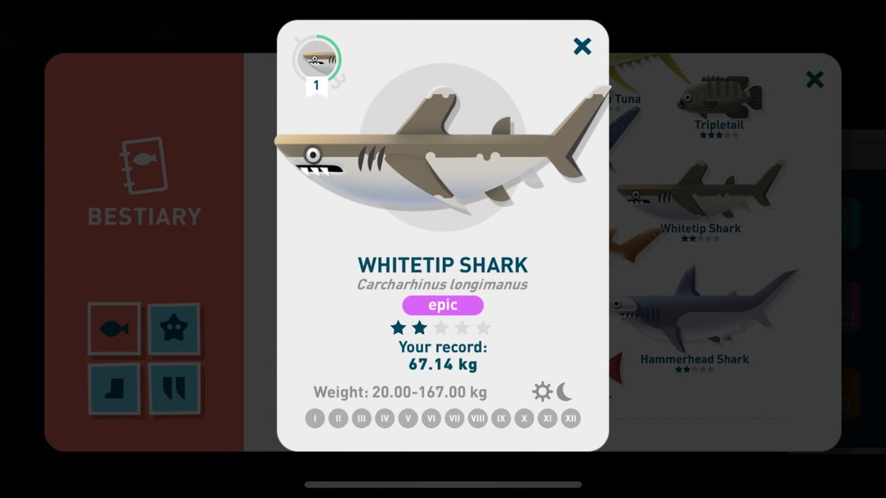 Creatures of the Deep Costa Rica Whitetip Shark