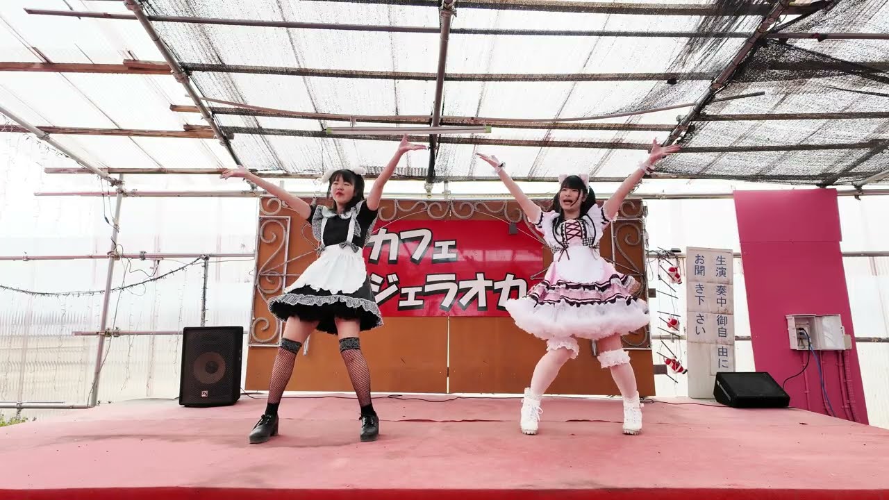 無所属☆⡱ZERO  2026.02.07 ジェラオカミニライブ Vol.09@カフェジェラオカ