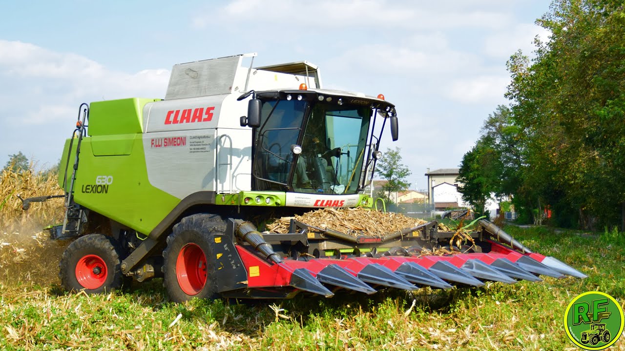 |Trebbiatura Mais 2021 con Claas Lexion 630 & Dominoni| F.lli Simeoni|