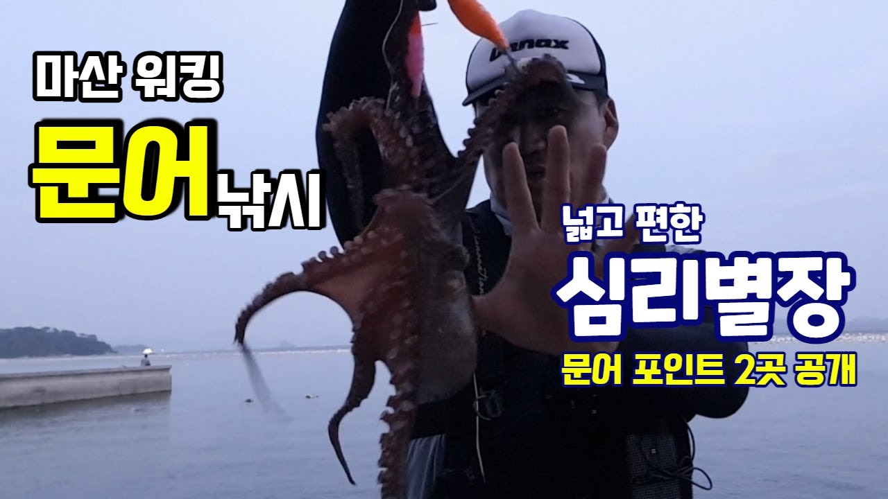 마산 워킹 문어낚시 [무늬삼촌TV]