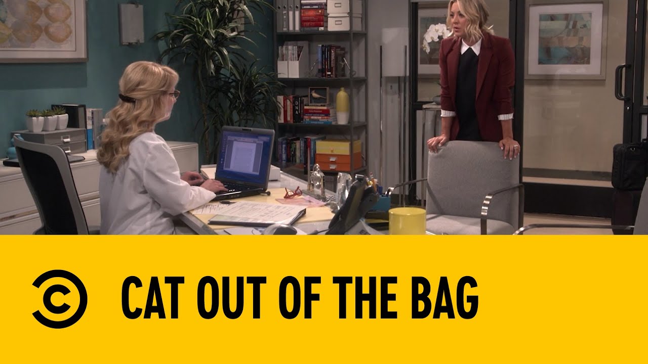 Cats Out The Bag | The Big Bang Theory | Comedy Central Africa
