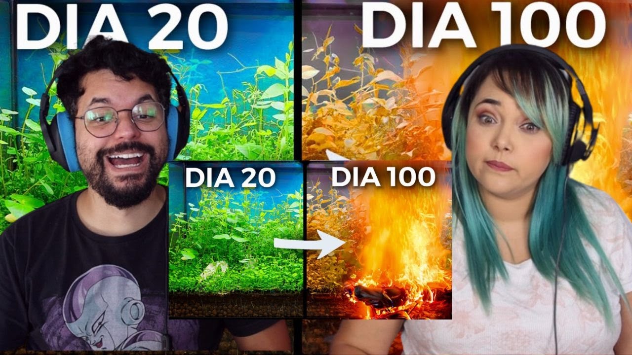 Há 100 Dias Construí um Ecossistema, e Então Isso Aconteceu (Dr. Plants Brasil) ‹ REACT ›