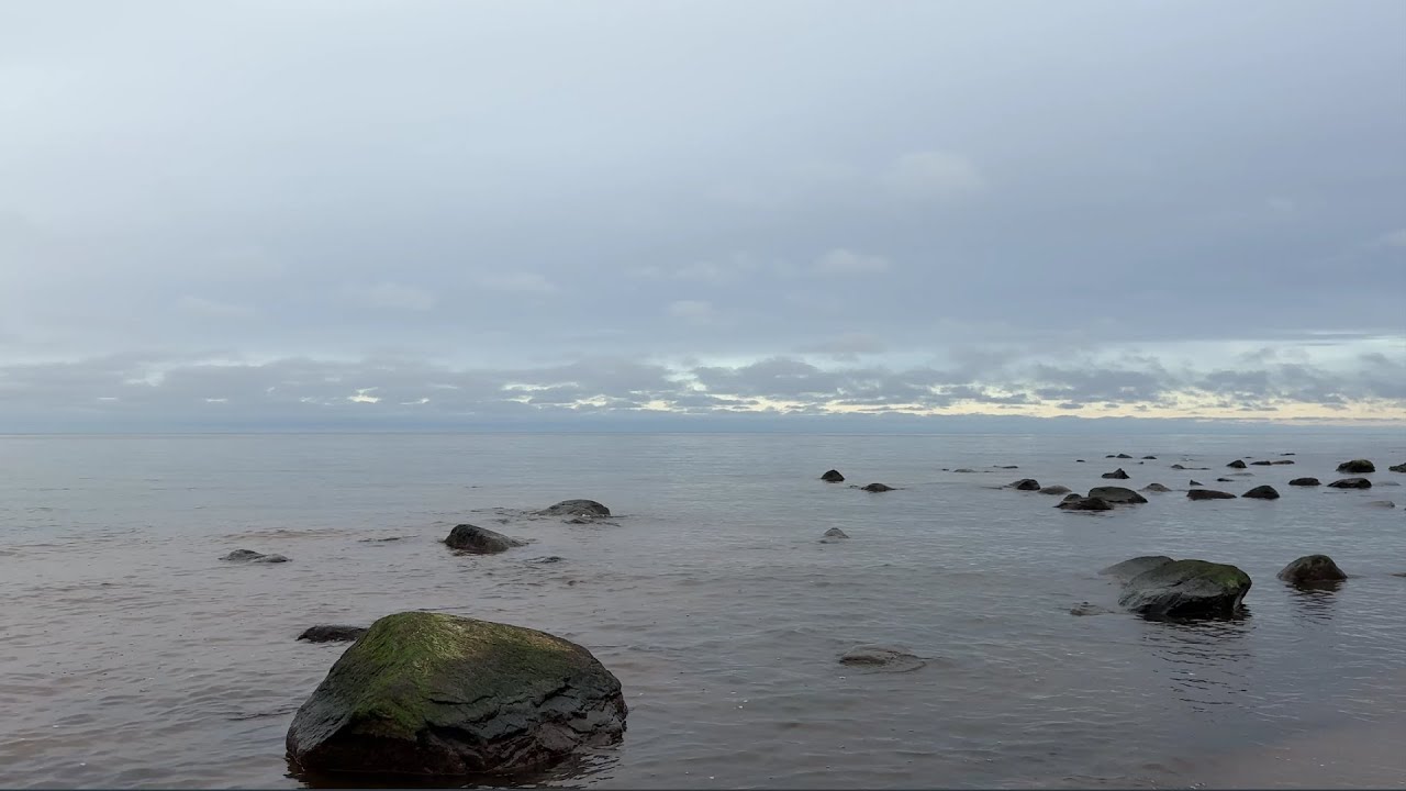 Calm Ocean Stones 🌊 Soft Waves & Grey Sky | 4K Live Ambient Sea for Sleep, Focus & Relaxation