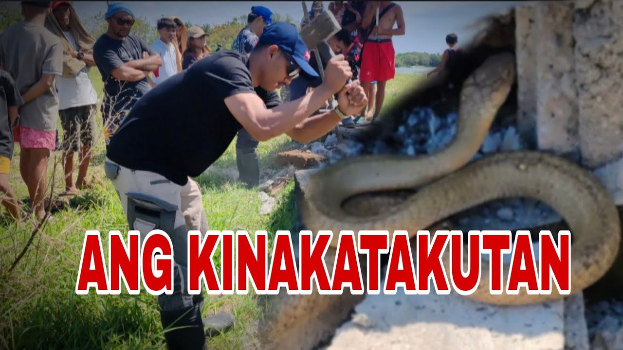 HULI ANG KINAKATAKUTANG KING COBRA SA DAAN #KABYAW #COBRAPRINCE #TOLCOBRA #COBRAFRANCE #CRISTURKS 