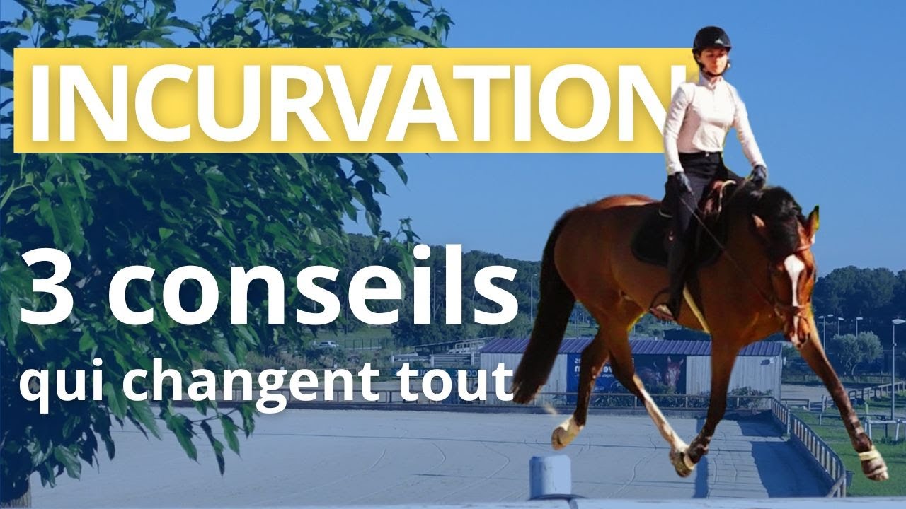 Incurvation : 3 conseils pour améliorer l'incurvation de son cheval