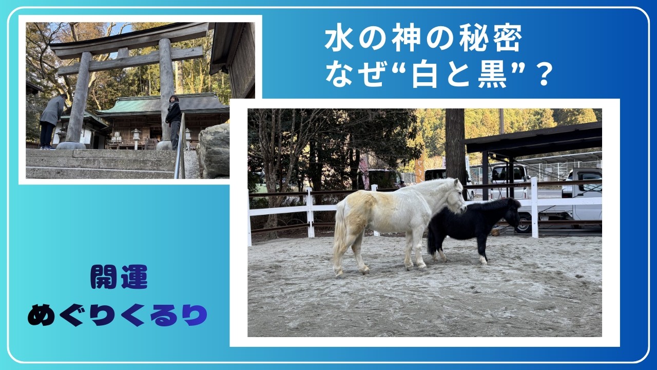 【最強開運】丹生川上神社下社｜白馬と黒馬の秘密