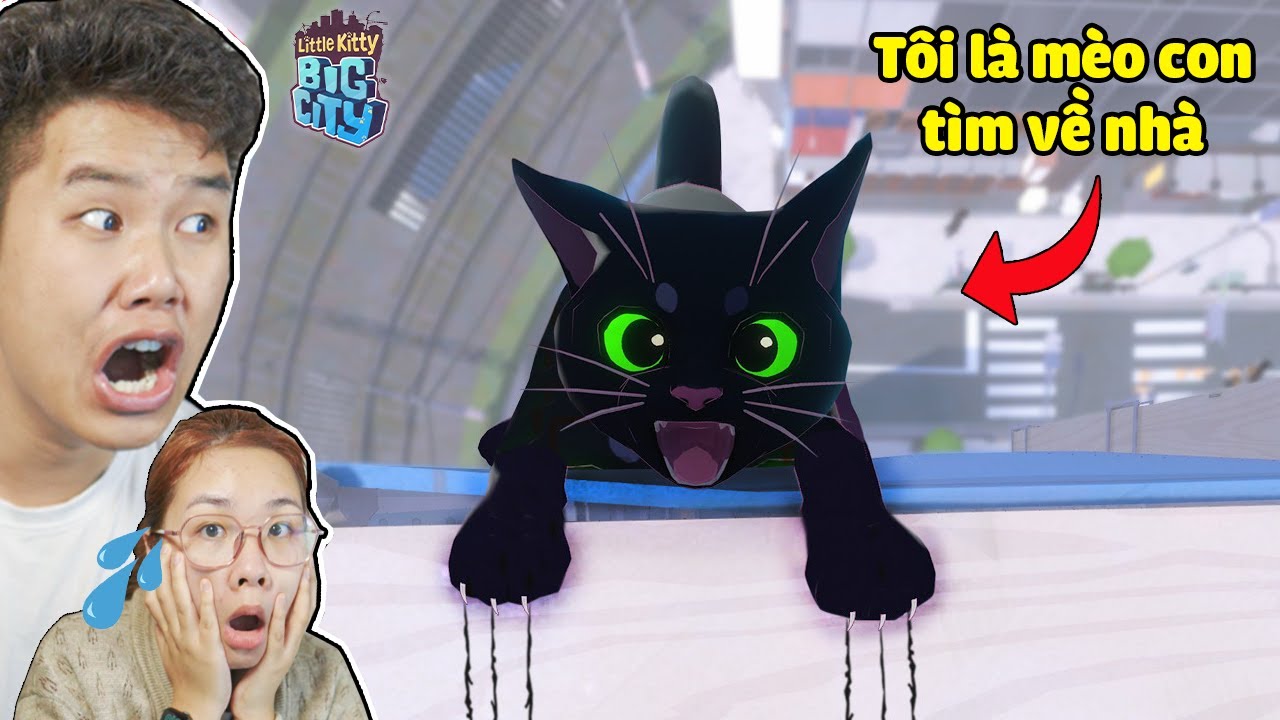 Tôi Là Mèo Con Đi Lạc Tìm Đường Về Nhà Thành Công ? bqThanh & Ốc Chơi Little Kitty Big City - Part 2