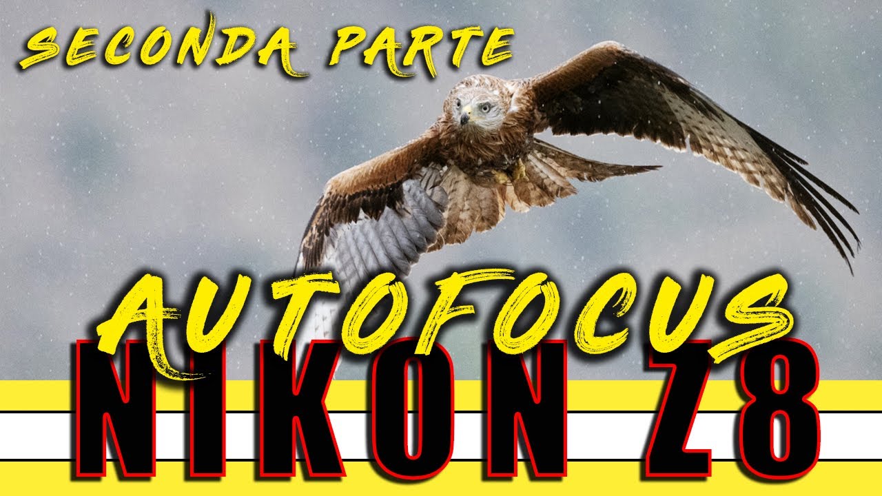 AUTOFOCUS NIKON Z8 - Seconda Parte