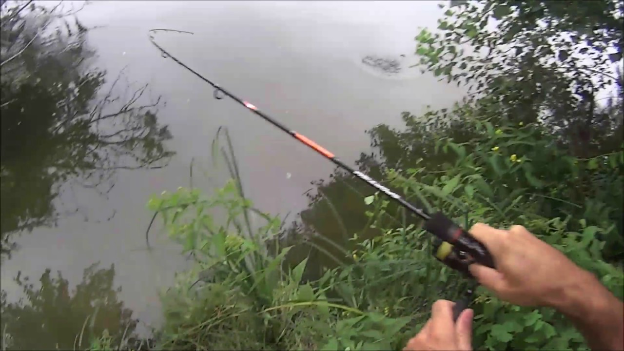 Test canne light SAKURA + prise en direct