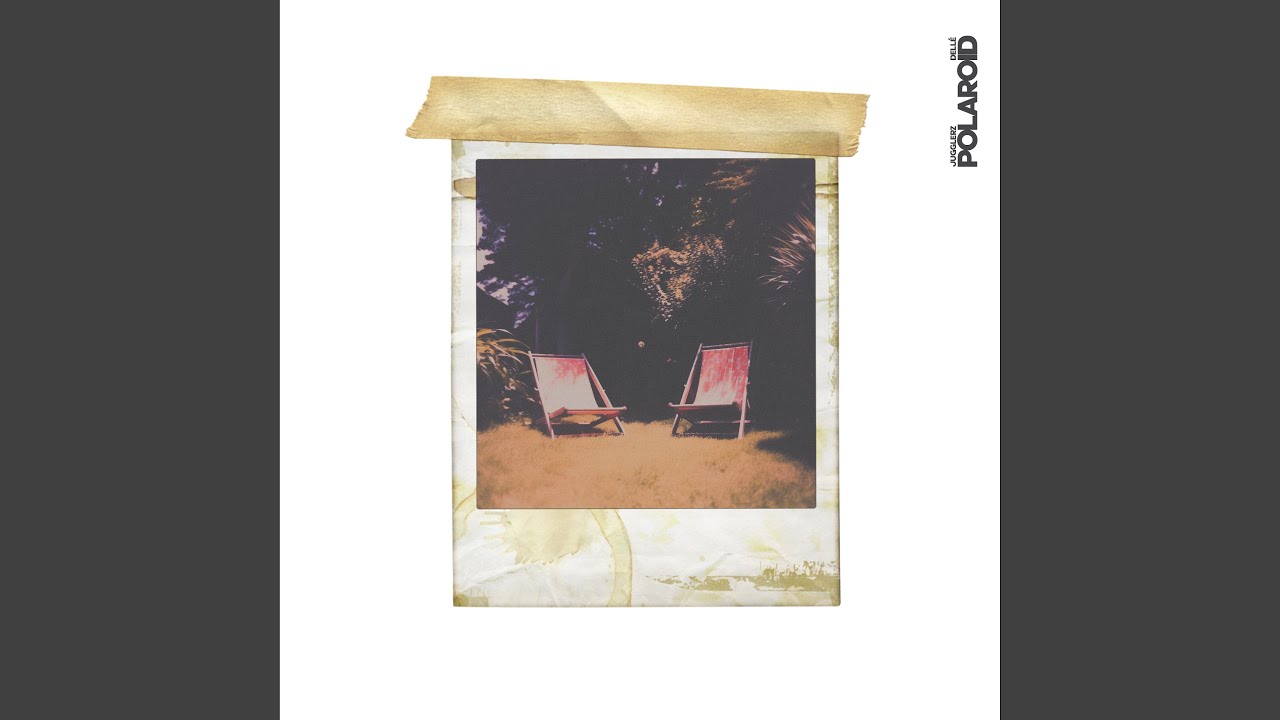 Polaroid