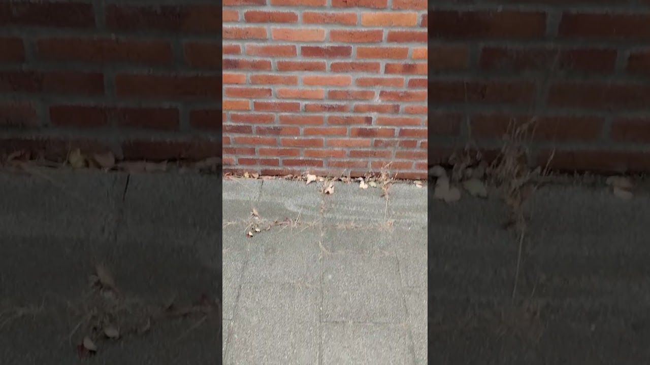 netjes