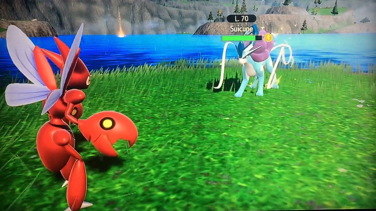 SUICUNE - DLC IL DISCO INDACO
