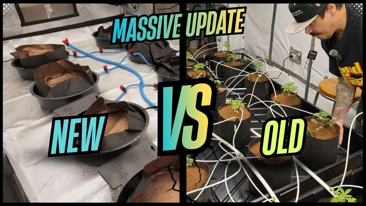 Why Every Home Grower Is Switching to This Auto-Irrigation Method