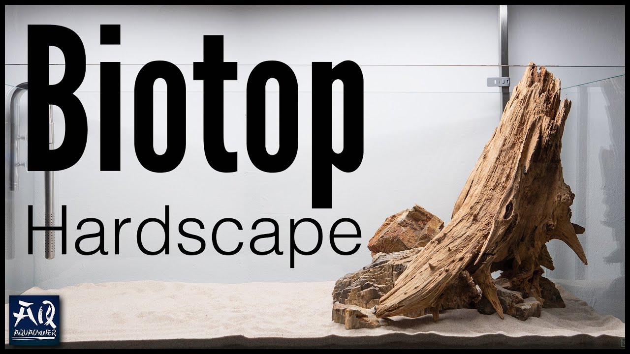 Rio Tapajos Biotopaquarium einrichten (Südamerika Biotop Hardscape) | AquaOwner