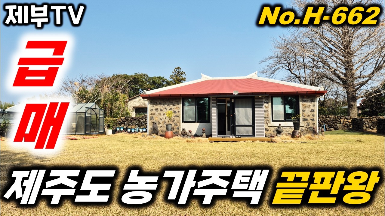 (긴급 급매) 3억대에서 2억대로 매도인께서 손해를 많이 보더라도 빨리 팔고 싶으시대요 H-662 제주도 농가주택 이 정도면 최상급 조건입니다