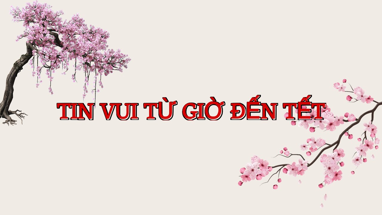 TIN VUI BẠN SẼ NHẬN TỪ GIỜ ĐẾN TẾT #66