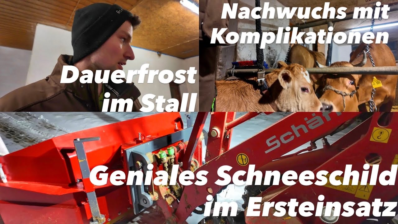 Wie wirkt sich Dauerfrost auf den Stall aus? | Britta lag fest | Schnee räumen mit den Eigenbau|