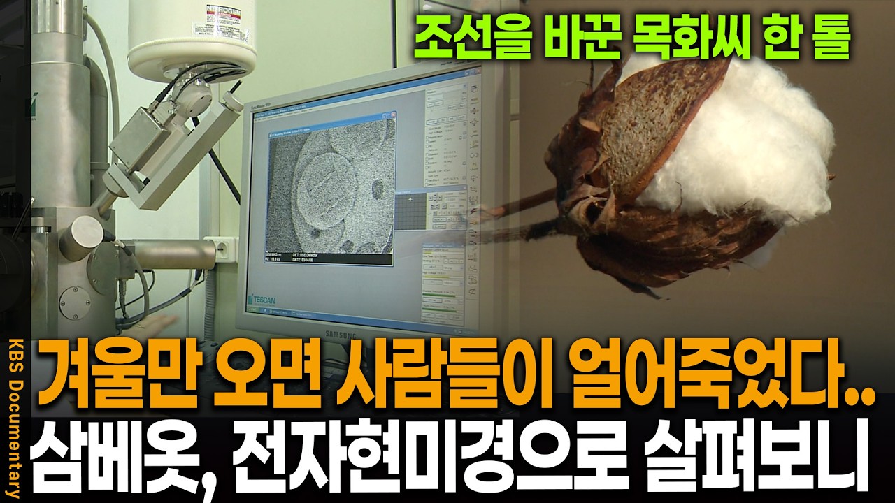 겨울만 오면 사람들이 얼어 죽었다.. 삼베는 도대체 뭐가 문제였을까? | KBS 역사스페셜 20060331 방송