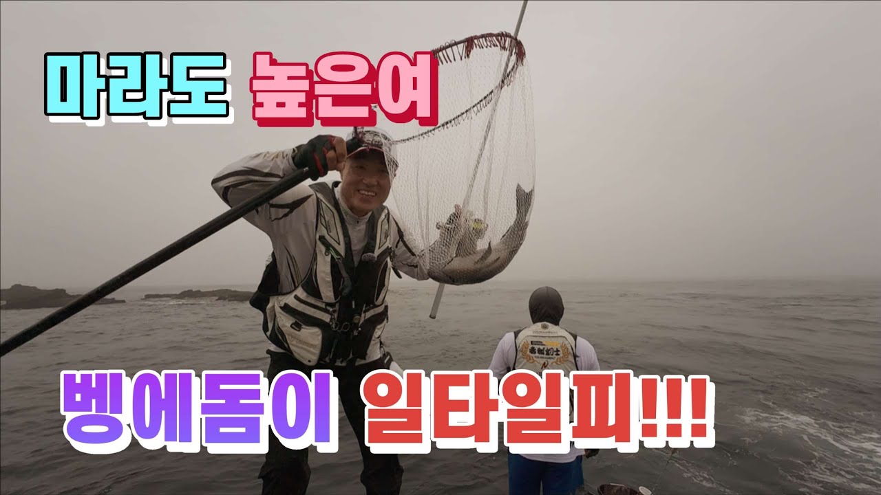 24년 7월4일 마라도 높은여~ 벵에돔이 일타일피!! #마라도 #높은여 #마라도벵에돔