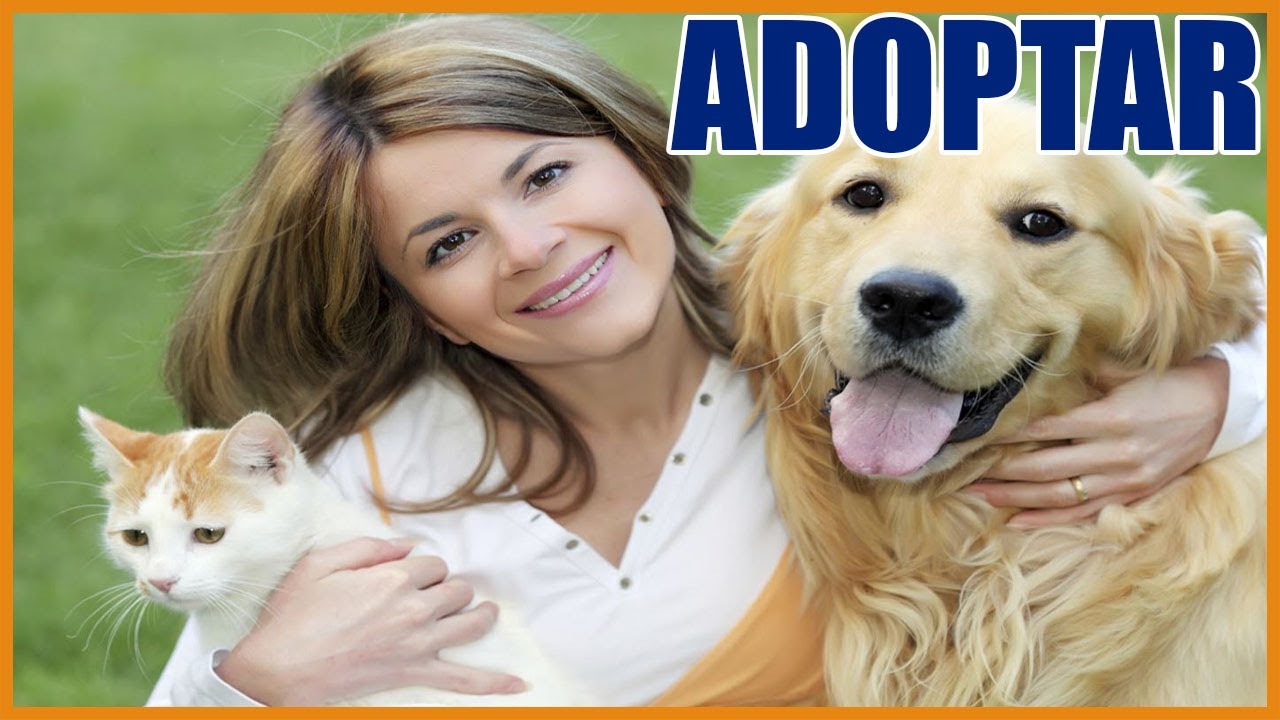 La importancia de adoptar mascotas