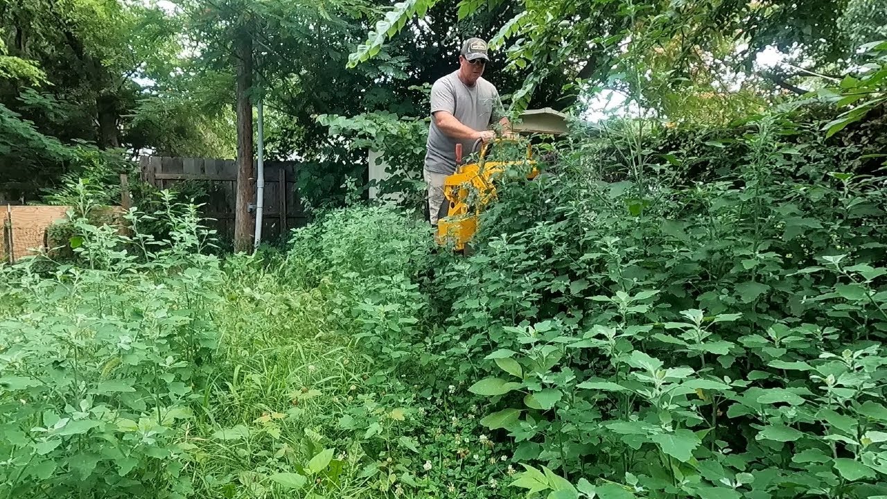 Renters DESTROYED This Lawn Left It Severely OVERGROWN - Making TALL GRASS Short