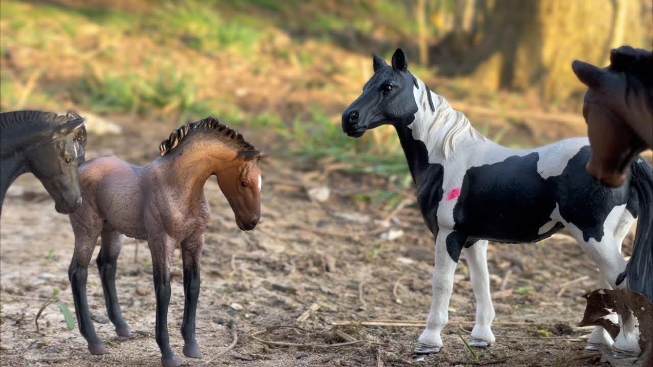 A mustang story - schleich horse rp/short film