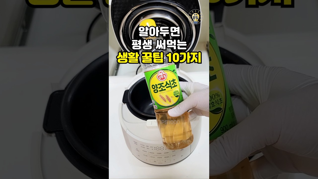 알아두면 평생 써먹는 생활 꿀팁 10가지 #shorts #살림팁 #꿀팁 #생활꿀팁