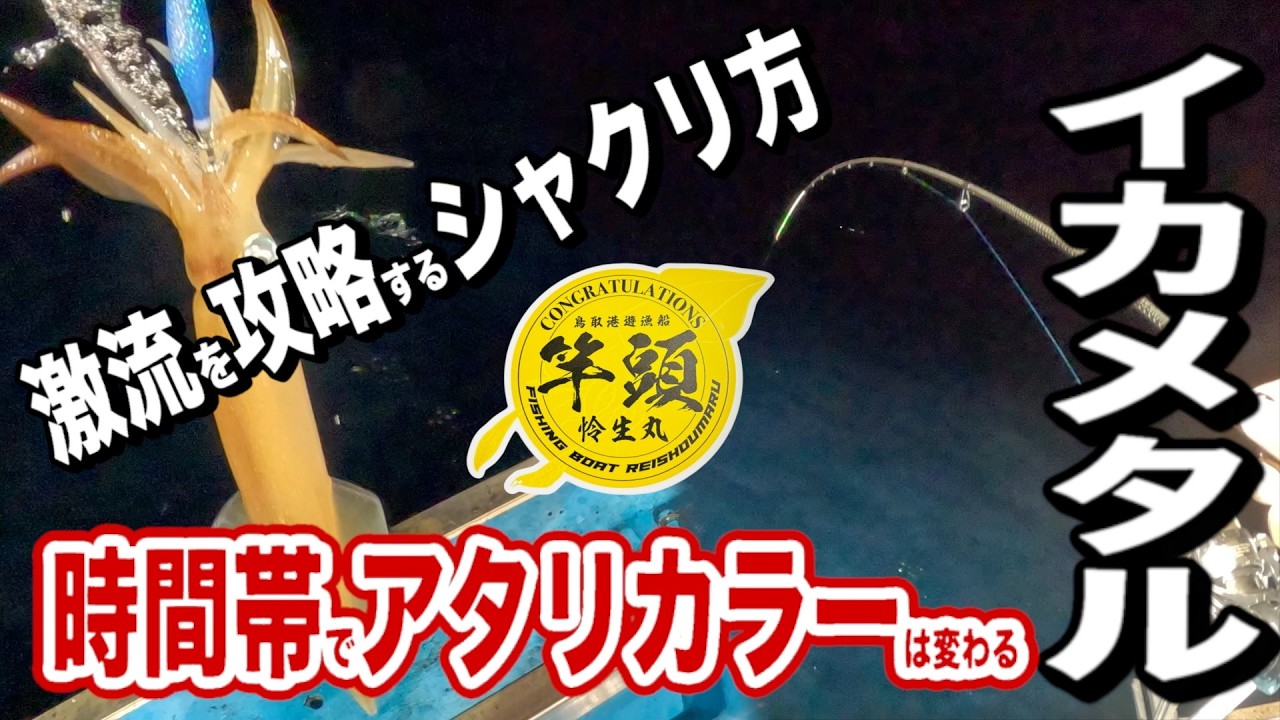 【イカメタル】激流はこう釣る！竿頭の『しゃくり』と『カラーセレクト』を完全解説（鳥取/怜生丸）