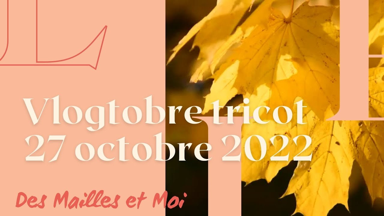 Vlogtober Tricot 27 octobre : Le syndrome des manches - Des Mailles et Moi