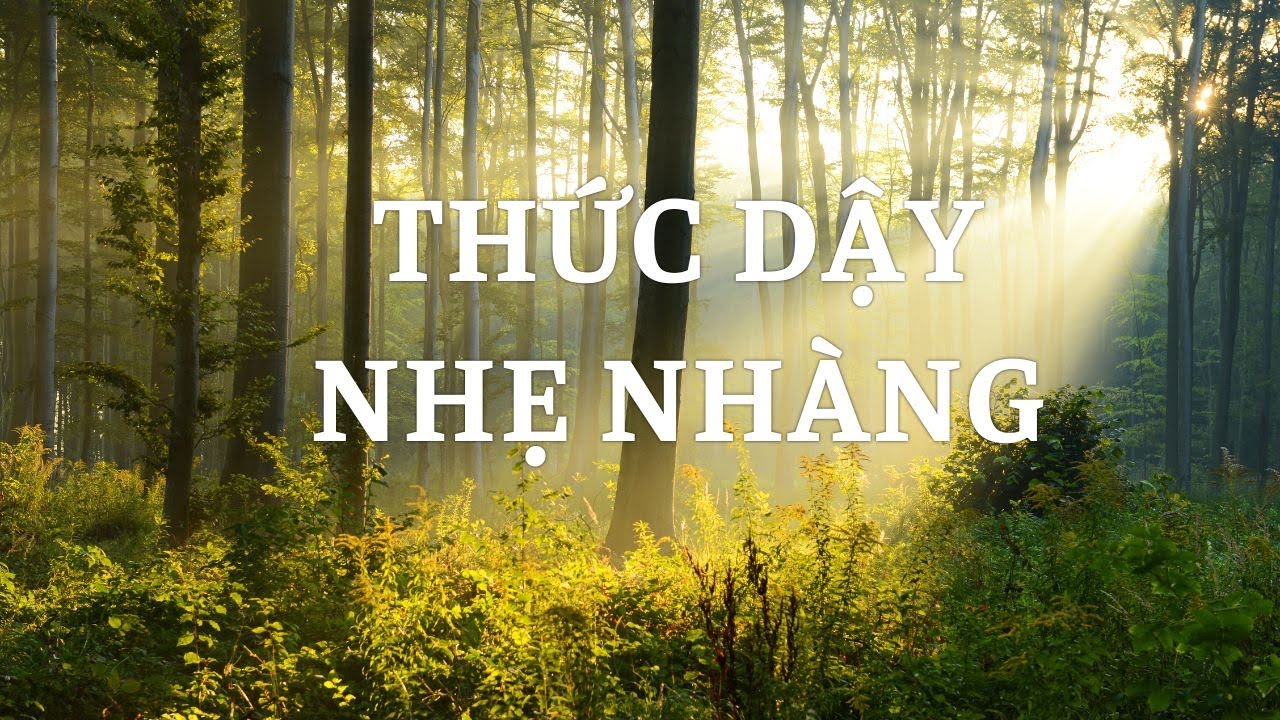 Thức Dậy Trong Bình Yên 🌿 Nhạc Buổi Sáng Dịu Nhẹ