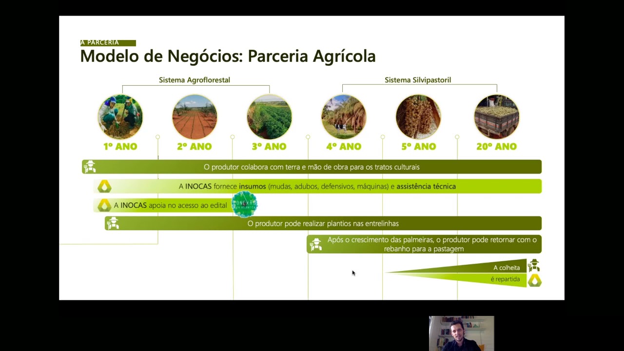 MACAÚBA: PLANTIO E PRODUÇÃO