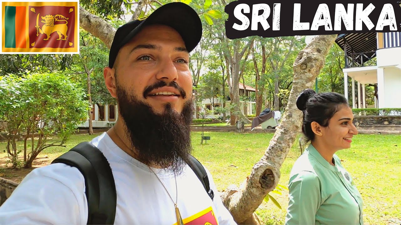 $180 Hotel Experience In Habarana, Sri Lanka 🇱🇰