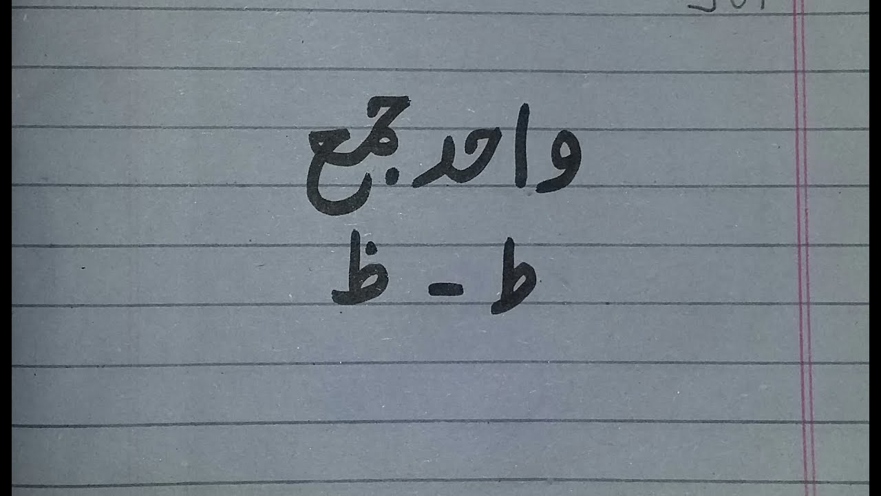 Teacher's Guide | Toen Or Zoen Se Wahid Jama | Urdu Grammar | Singular Plural | Toyen Zoyen