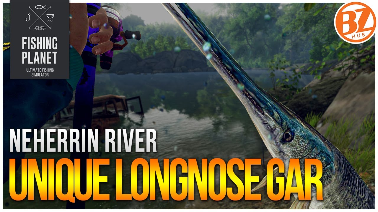 Unique Longnose Gar of Neherrin River! | (Fishing Planet: Test Your Spot Series!)