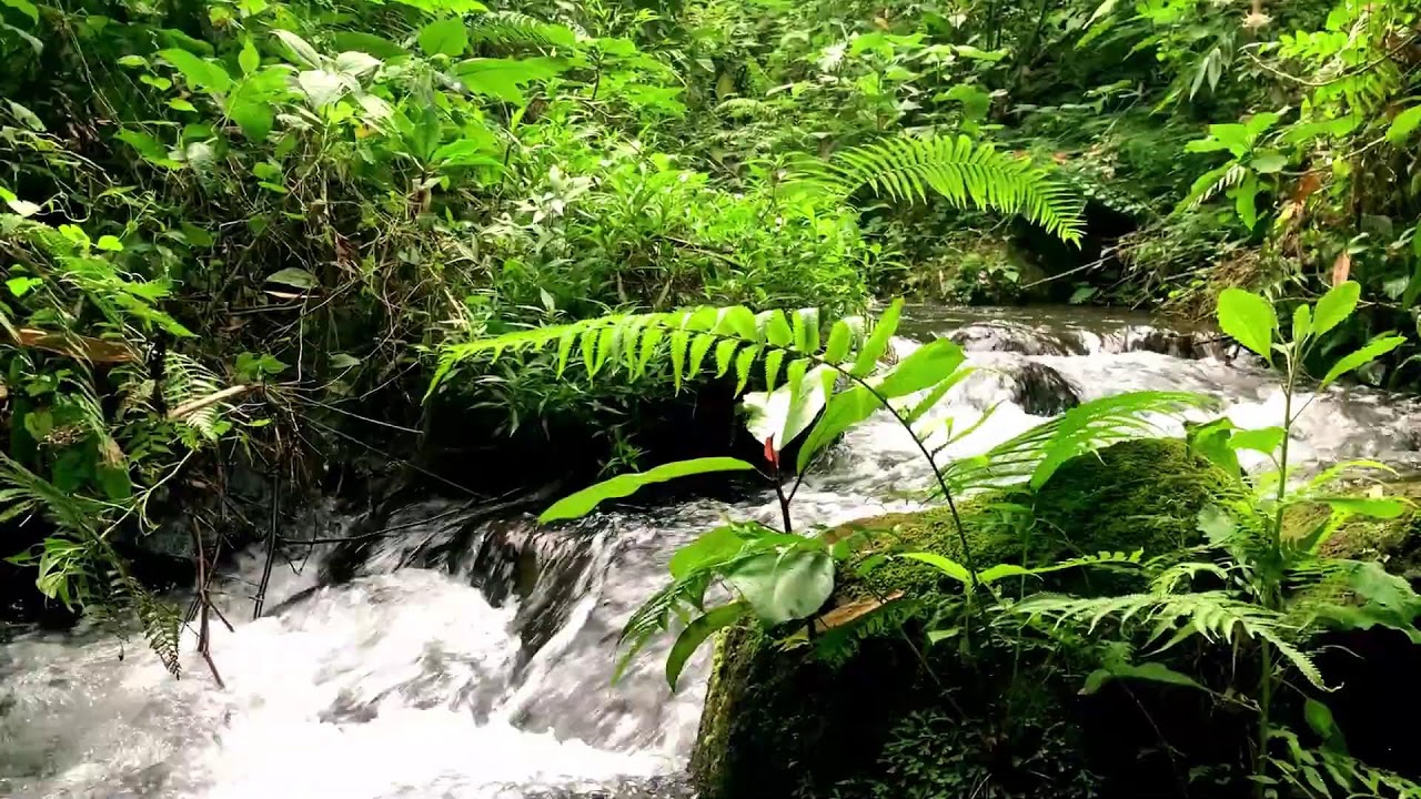 Mountain River for Zen, Homework, Calm Mind