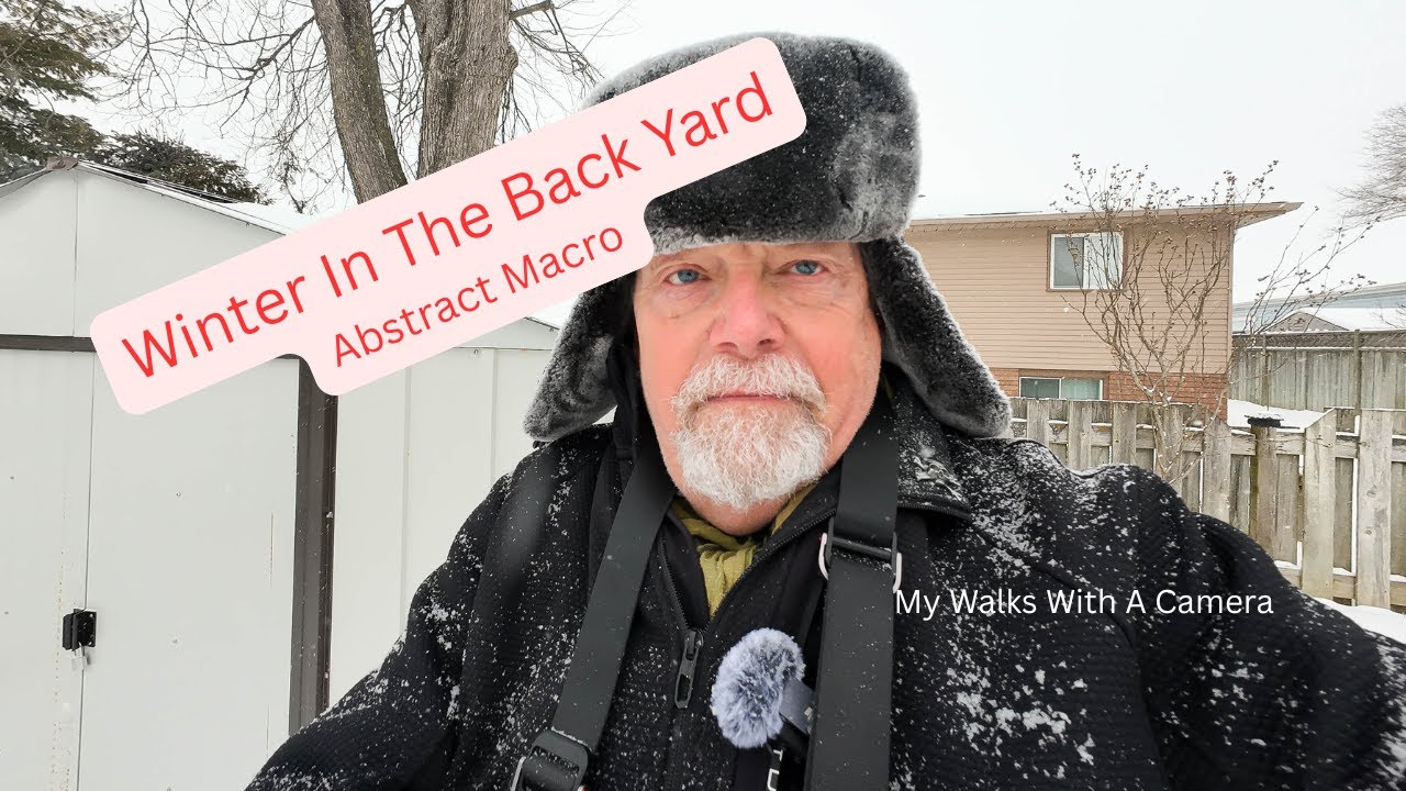 Winter in the Back Yard