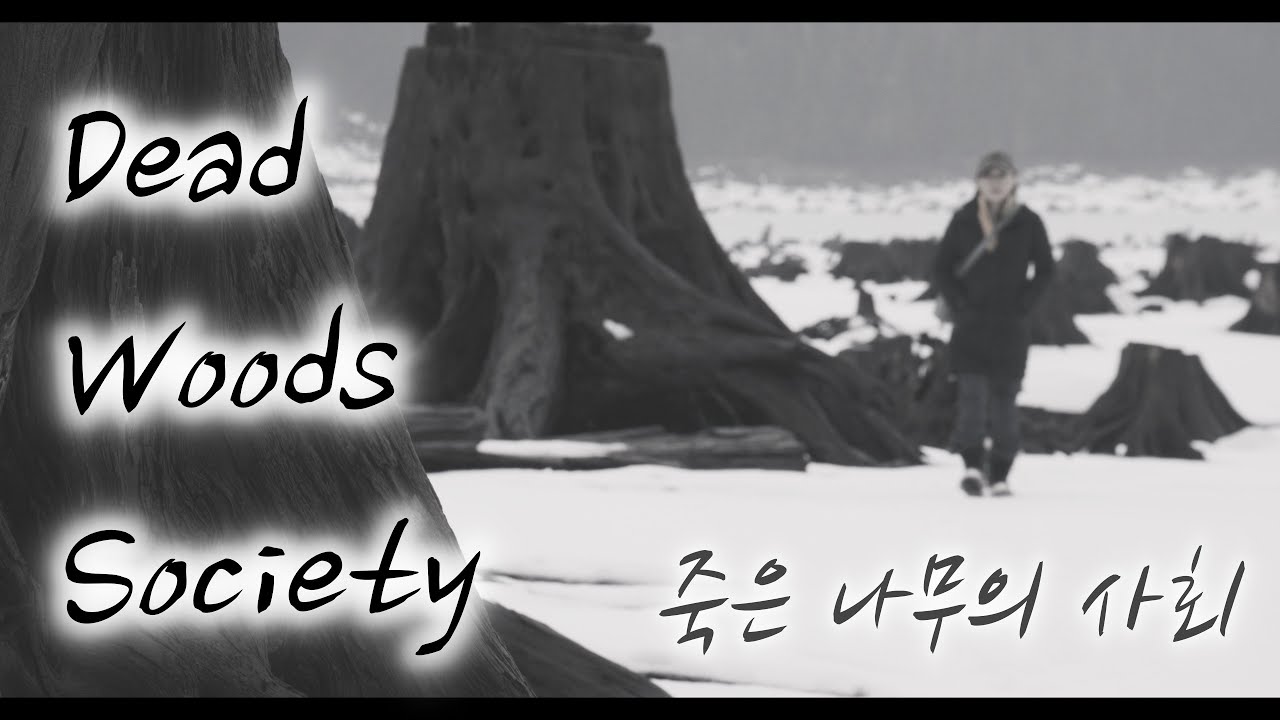 [4K] Camping at the Mangrove of tree stumps |  겨울 호수 노지캠핑