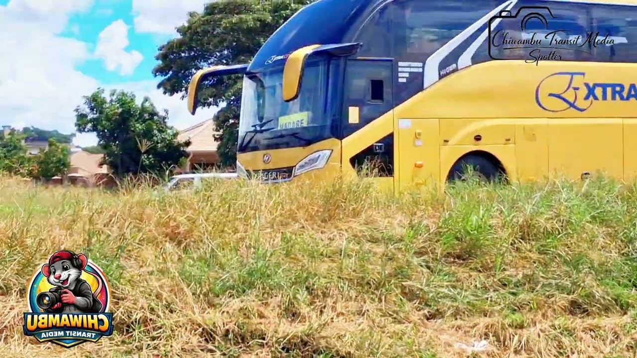 ExtraCity Luxury Higer Dominator from Vicfalls