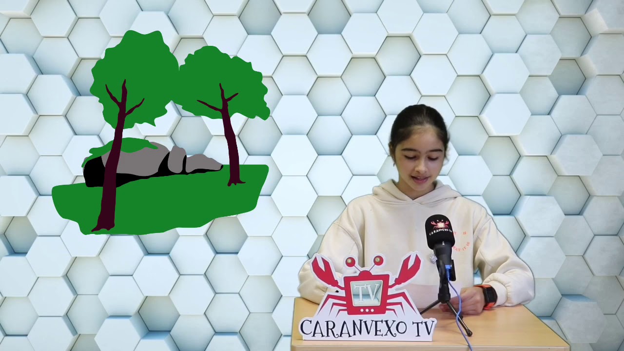 SELO CALIDADE VIDA SAUDABLE